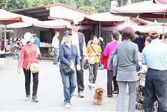 417297_342395755794261_100..