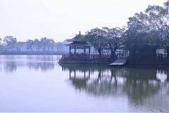 永續協會2014年新春團拜 481..