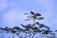 永續協會2014年新春團拜 493..