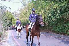 永續協會2014年新春團拜 467..