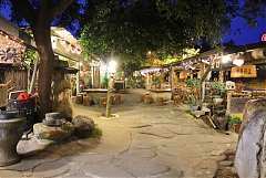 101年8月11~12日永續台東密..