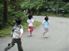 ap_F23_20091019121103413