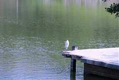 永續協會2014年新春團拜 482..