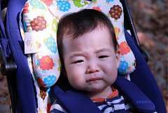 永續協會2014年新春團拜 663..