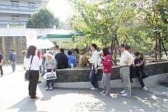 400359_342397545794082_100..