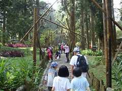 ap_F23_20091019121208867