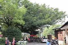 29015_578469428844982_6607..