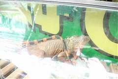 401173_342394875794349_100..