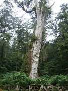 ap_F23_20091019121109764