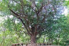 永續協會2014年新春團拜 456..