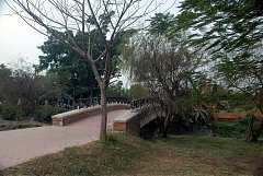 高屏舊鐵橋_4813