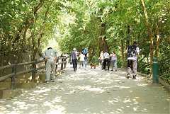 409259_342406005793236_100..