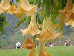 ap_F23_20091019121102953