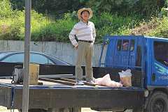 398575_342390199128150_100..