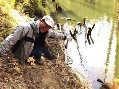 208697_554862831214665_708..