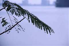 永續協會2014年新春團拜 495..