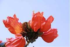 永續協會2014年新春團拜 461..