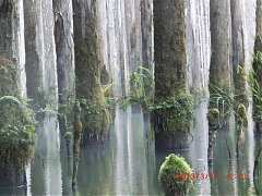 2013-03-17 水漾 050 (小型)