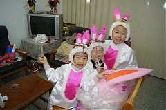 185933_204152036262942_100..