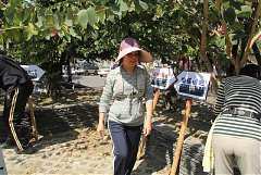 422449_342390622461441_100..