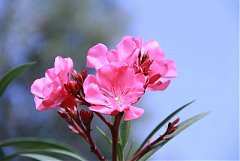 永續協會2014年新春團拜 472..