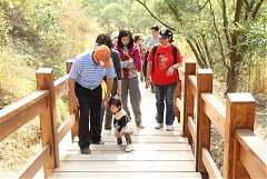 417354_342411702459333_100..