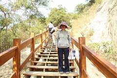 403044_342411509126019_100..