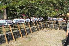 418174_342391475794689_100..