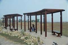 高屏舊鐵橋_4811