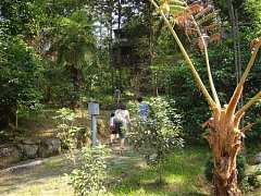 ap_F23_20091019121515621