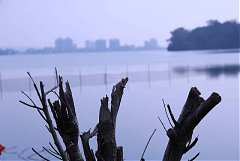 永續協會2014年新春團拜 491..