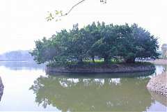 永續協會2014年新春團拜 477..