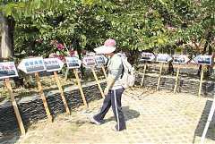 419161_342392802461223_100..