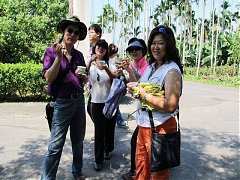 314772_248771141823390_100..