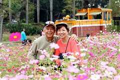 207268_578471498844775_998..