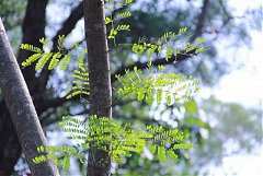 永續協會2014年新春團拜 455..