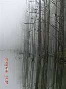 2013-03-16 水漾 166 (小型)