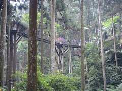 ap_F23_20091019121139148