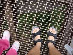 ap_F23_20091019121128404