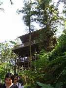 ap_F23_20091019121508834