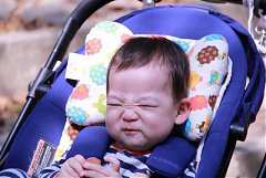 永續協會2014年新春團拜 662..