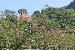 166943_342389579128212_100..