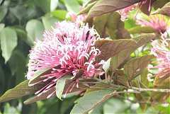 405739_342397572460746_100..