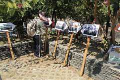 408064_342390915794745_100..