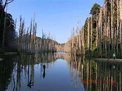 2013-03-17 水漾 119 (小型)