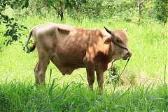 101年8月11~12日永續台東密..