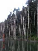 392846_10151355198014087_2..