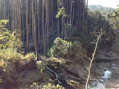 208798_554862497881365_202..