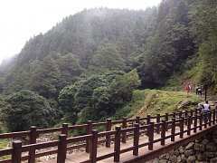 557291_448968361804113_129..