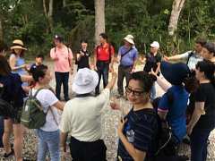 c51488d741c020313892883de9..